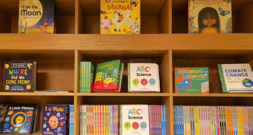 My Pet Slime Book Series Review and What Readers Think [With Online Book]