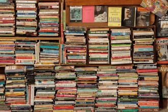 how many diary of a wimpy kid books are there​