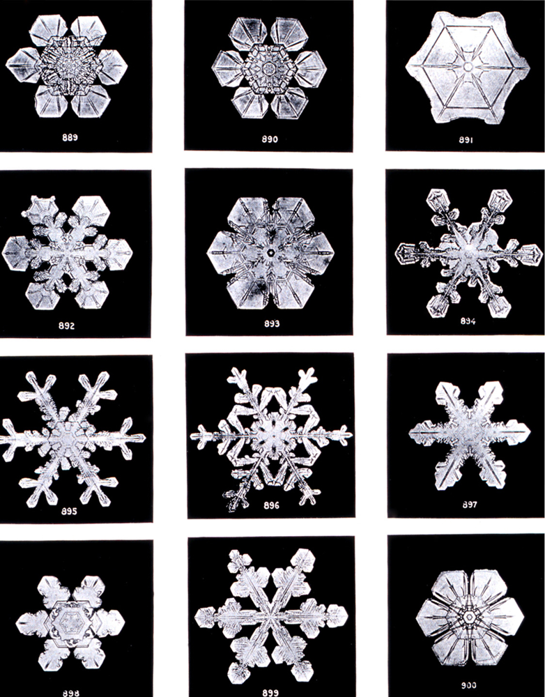A selection of real snowflake photographs