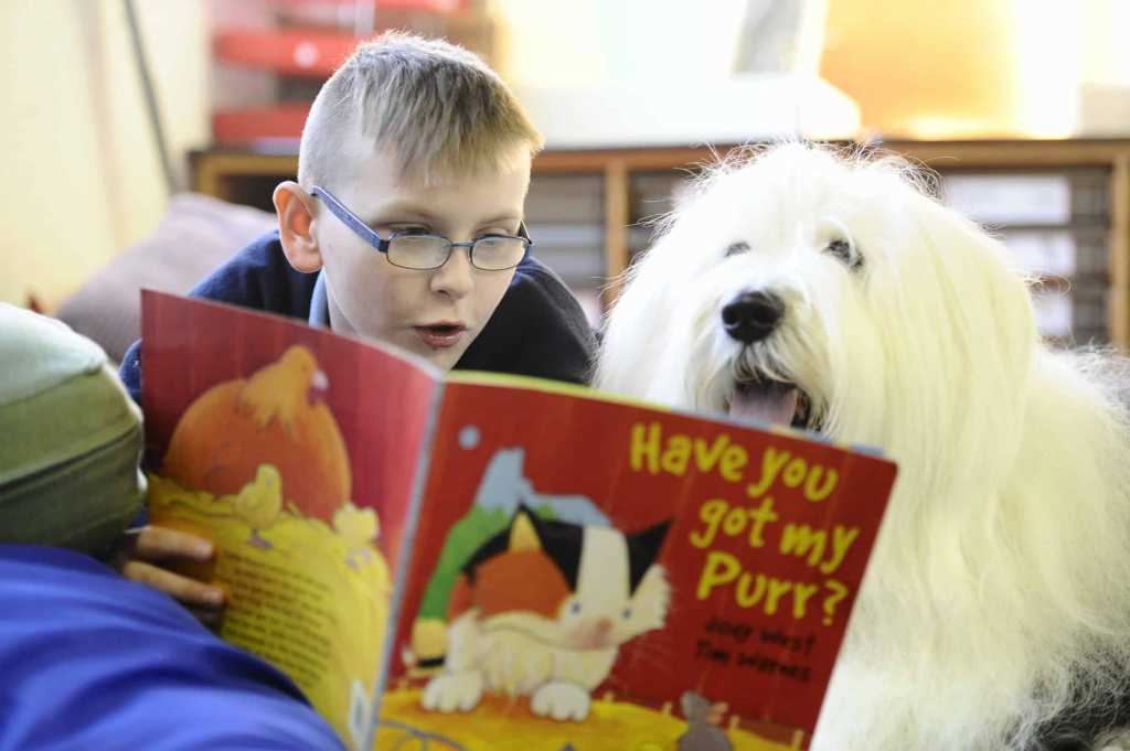 child reading book aloud to dog as low pressure reading fluency activity at home