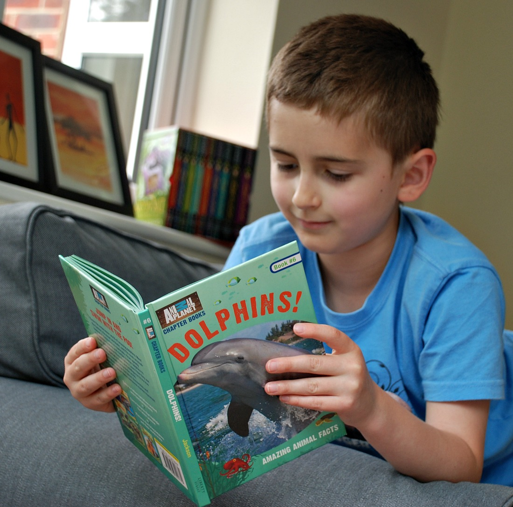 Child reading a nonfiction book about animals
