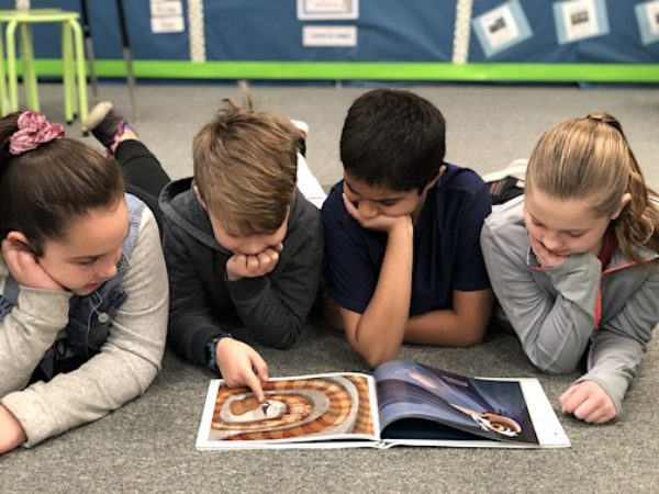 Child exploring diagrams and text features in a nonfiction book