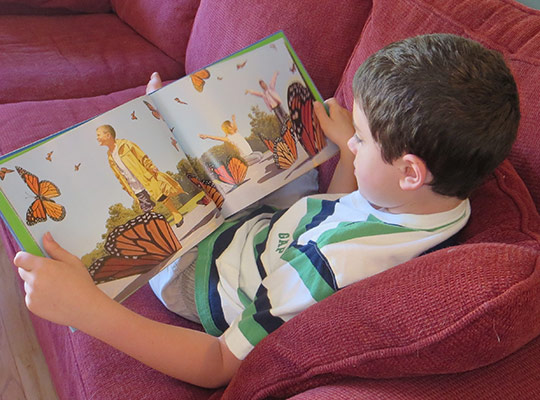 Child exploring the illustrations in a wordless picture book